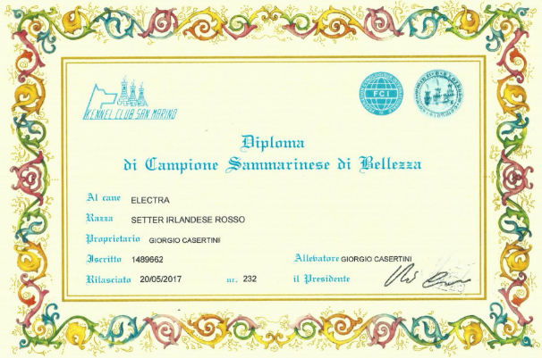Campione Sammarinese di Bellezza