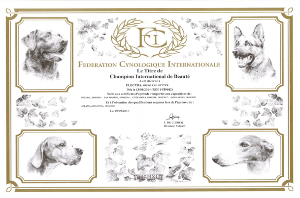 Champion International de Beautè
